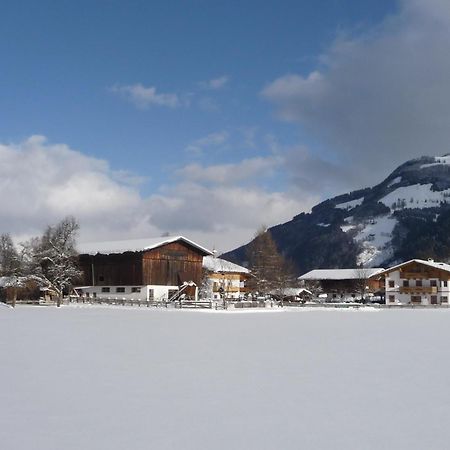 Obersinnlehenhof Майсхофен Экстерьер фото